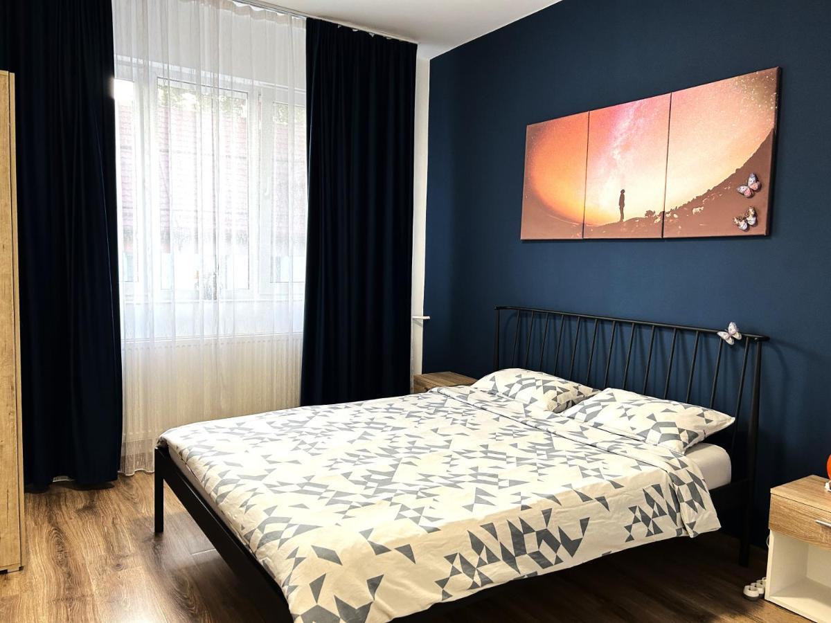 Marius Studio Brasov Ngoại thất bức ảnh